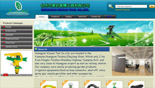 搜索引擎優化-臺州網站SEO優化推廣-搜索引擎優化盡在阿里巴巴-臺州迪賽網絡技術.